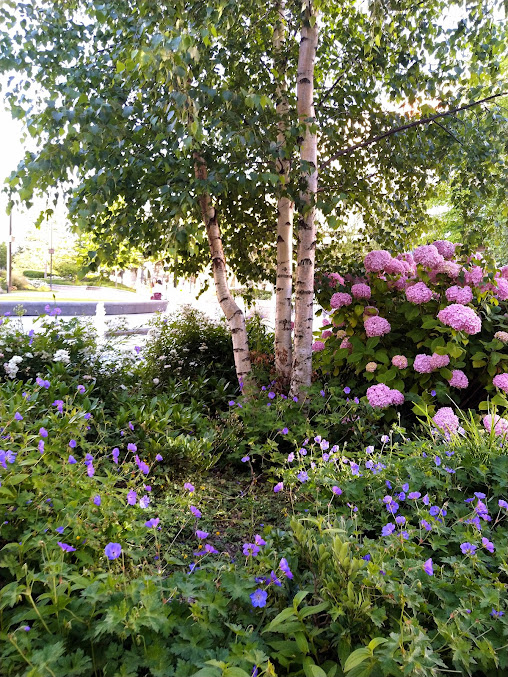 Eight acres of gardens and oriental water